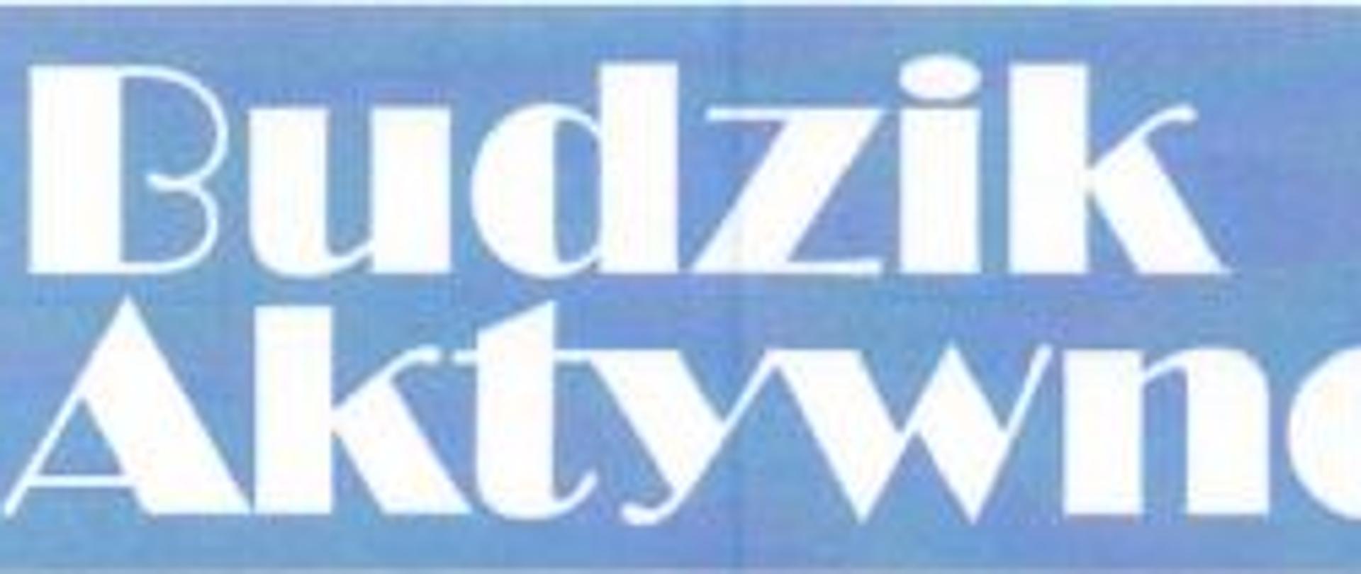 Budzik Aktywności.jpg 79