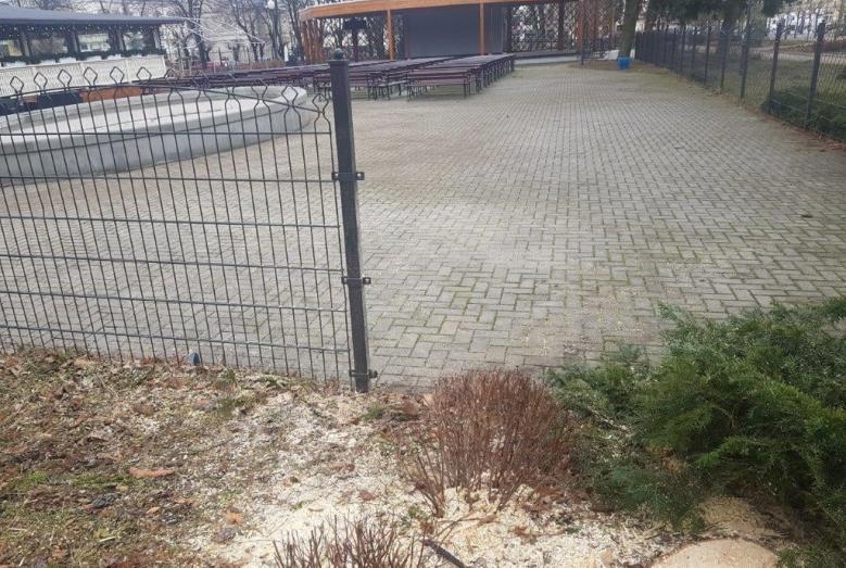 Ogrodzenie uszkodzone przez drzewo