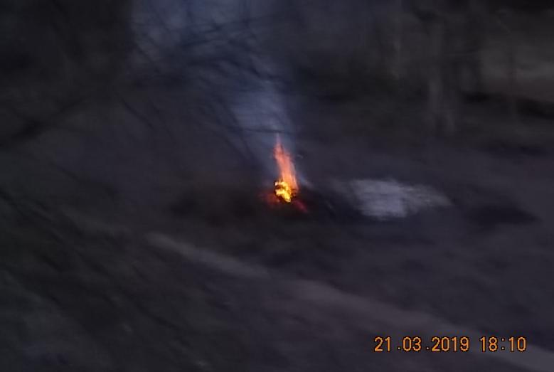 DSCN0943
