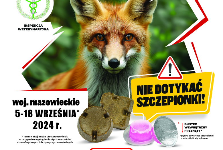 Szczepienie lisów
