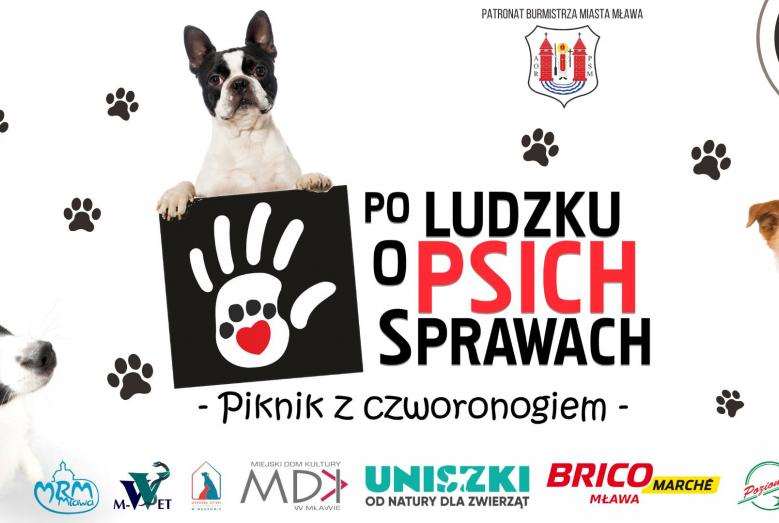 Po ludzku o psich sprawach - Piknik z czworonogiem