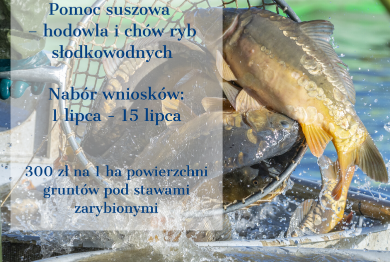 Pomoc suszowa - hodowla i chów ryb słodkowodnych.png 1