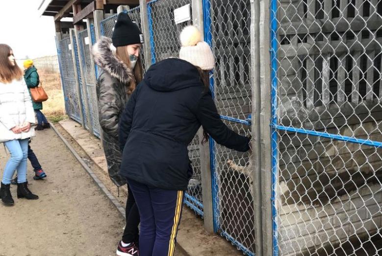 SP1 - Podsumowanie zbiórki karmy 1