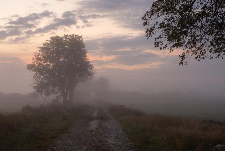 zamglony pejzaż