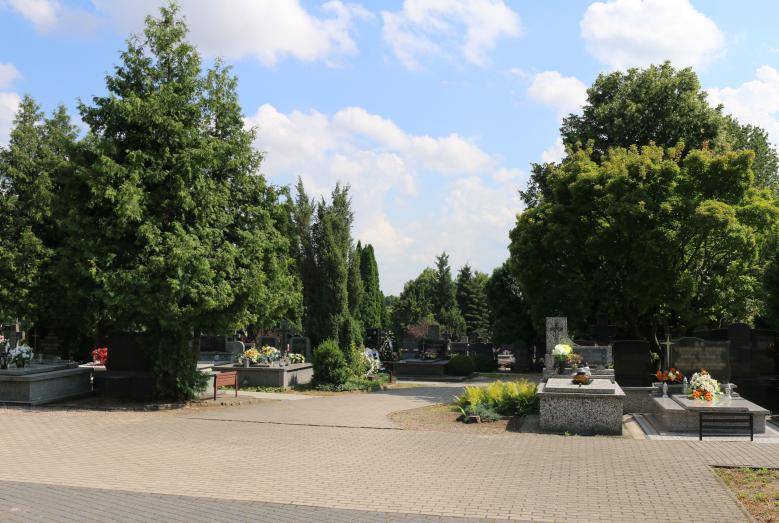 cmentarz komunalny w Mławie