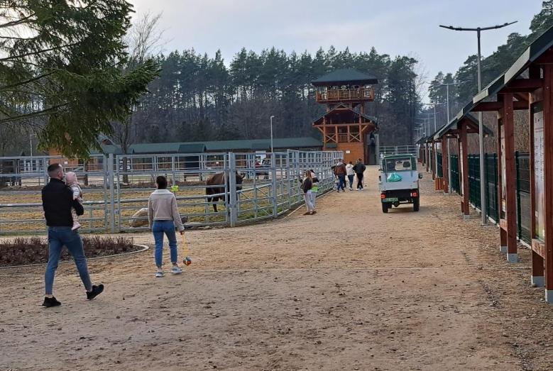 Pokazowa zagroda żubrów przy ul. Krajewo