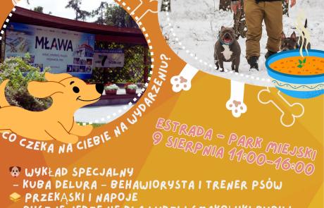 plakat
