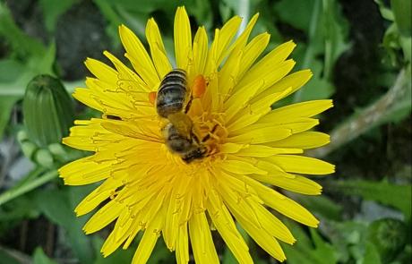 20180428_141756_resized