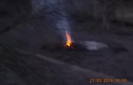 DSCN0943