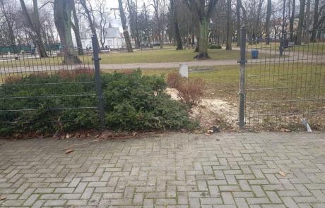 Powalony świerk i uszkodzone ogrodzenie
