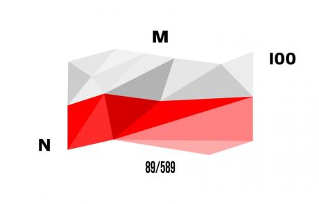 N100 logo