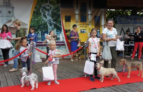 Piknik z czworonogiem - 107