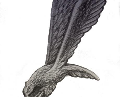 Cichociemni.jpg 86