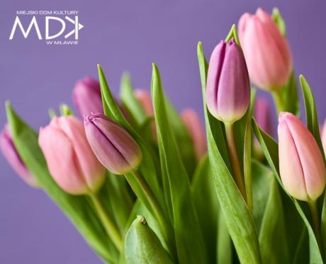 dzien-kobiet-tulipany.jpg 353