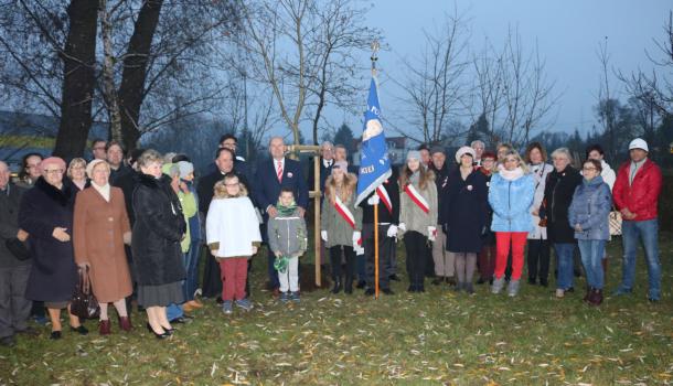 Uroczystość posadzenia dębu - 50