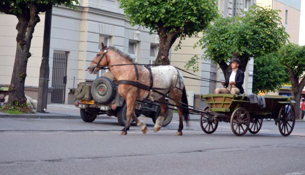 Rekonstrukcja historyczna-63