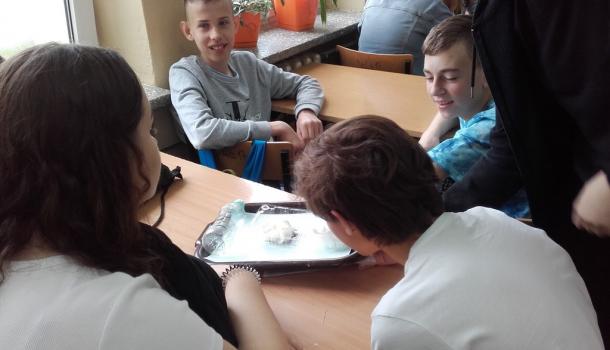 Dzień bez Papierosa w SP7