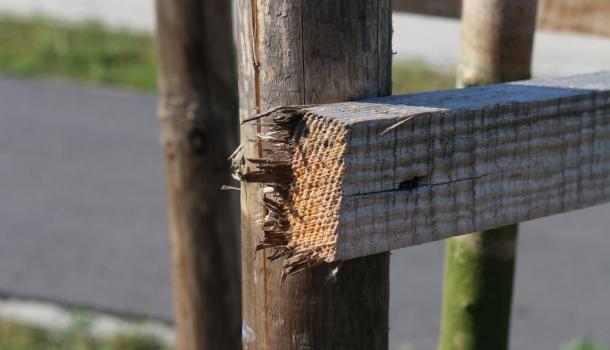 Akty wandalizmu na Alei Świętego Wojciecha - 13