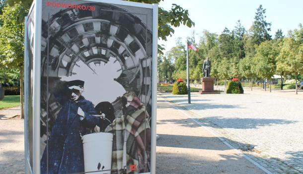 wystawa w parku (1)