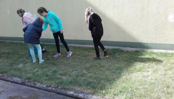 Sprzątanie Świata 2019