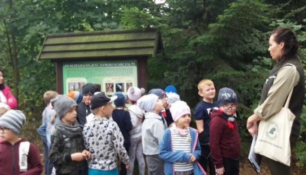 Piknik integracyjny klas pierwszych