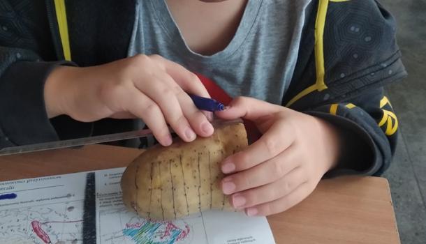 praktyczna lekcja geografii