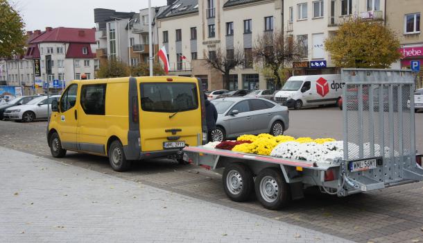 Pojazd Agrosanu z chryzantemami