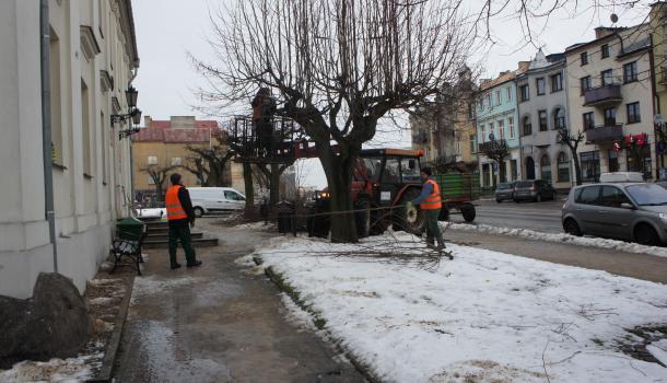Przycinanie gałęzi drzew na Starym Rynku