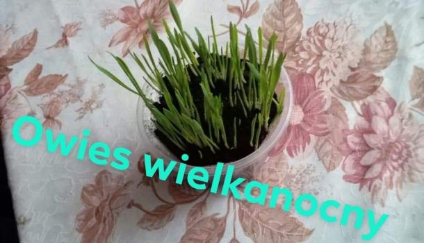 Wiosenne prace w wykonaniu drugoklasistów ze SP nr 2