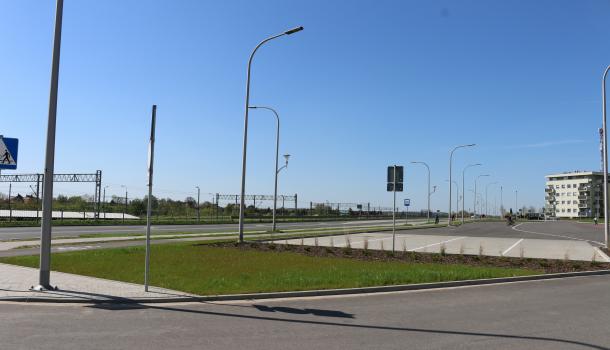 Sadzonki róż przy wjeździe na teren Stacji Mława
