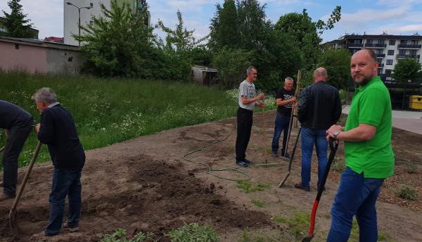 Sadzenie krzewów i drzew przy budynku wielorodzinnym Smolarnia 6