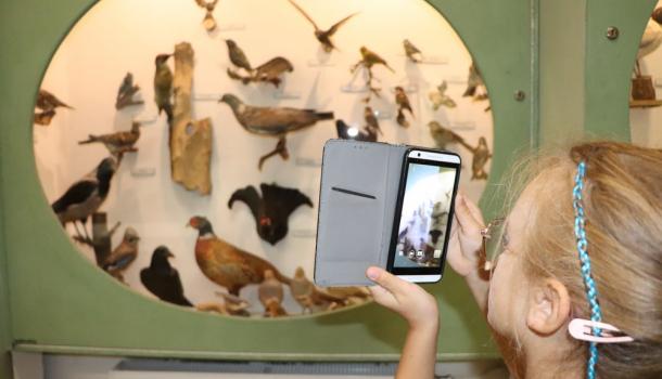 Wakacyjne zajęcia w Muzeum Ziemi Zawkrzeńskiej