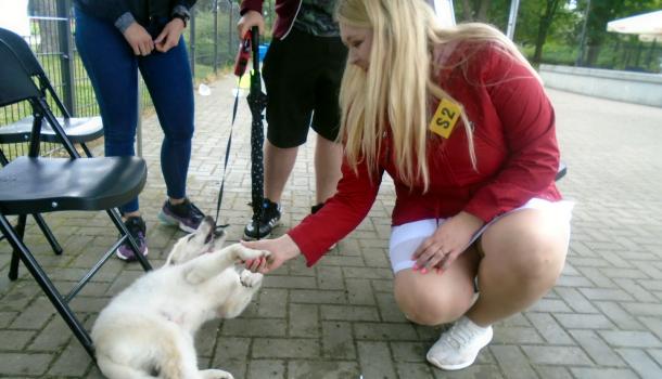 Piknik z czworonogiem - 15.JPG 551