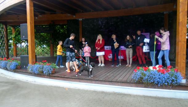 Piknik z czworonogiem - 24.JPG 596