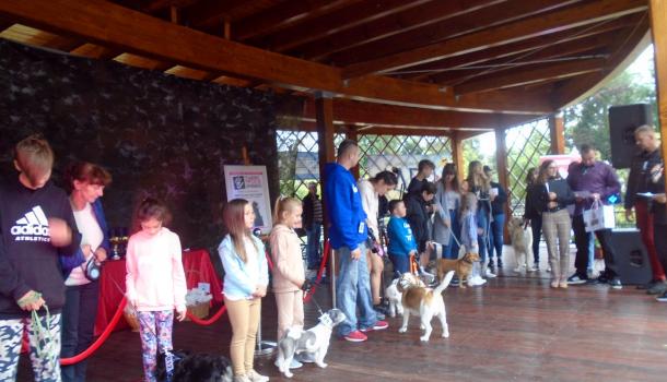 Piknik z czworonogiem - 32.JPG 610