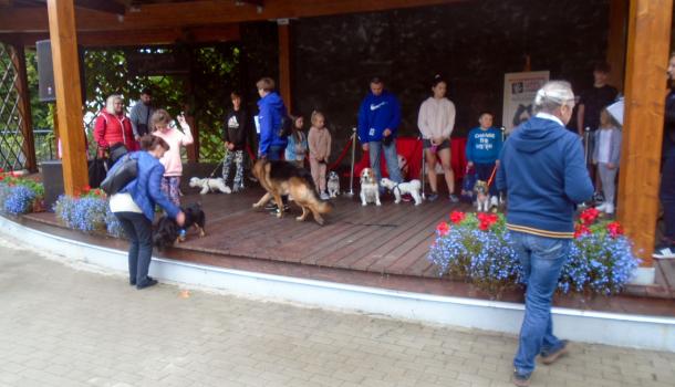 Piknik z czworonogiem - 38.JPG 547