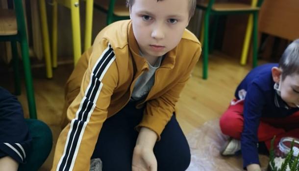 Projekt edukacyjny  w klasie 3 b Szkoły Podstawowej nr 3 w Mławie pt. Z ekologią na Ty - Las w słoiku “