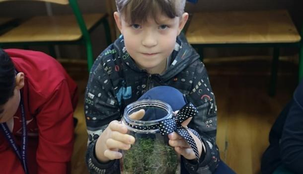 Projekt edukacyjny  w klasie 3 b Szkoły Podstawowej nr 3 w Mławie pt. Z ekologią na Ty - Las w słoiku “