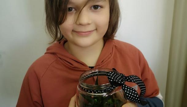 Projekt edukacyjny  w klasie 3 b Szkoły Podstawowej nr 3 w Mławie pt. Z ekologią na Ty - Las w słoiku “