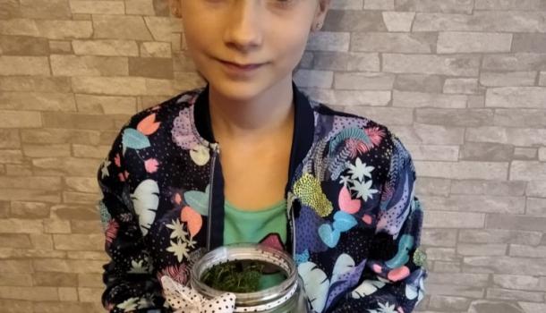 Projekt edukacyjny  w klasie 3 b Szkoły Podstawowej nr 3 w Mławie pt. Z ekologią na Ty - Las w słoiku “