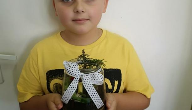 Projekt edukacyjny  w klasie 3 b Szkoły Podstawowej nr 3 w Mławie pt. Z ekologią na Ty - Las w słoiku “