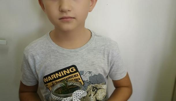 Projekt edukacyjny  w klasie 3 b Szkoły Podstawowej nr 3 w Mławie pt. Z ekologią na Ty - Las w słoiku “