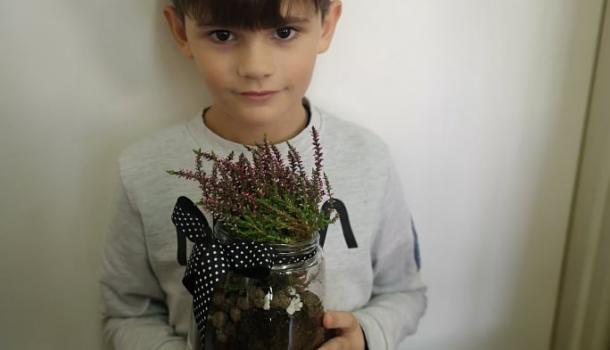 Projekt edukacyjny  w klasie 3 b Szkoły Podstawowej nr 3 w Mławie pt. Z ekologią na Ty - Las w słoiku “