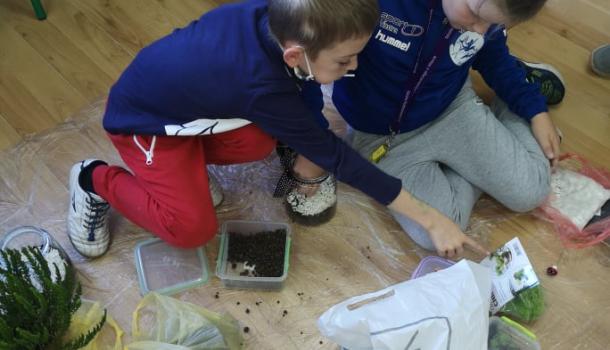 Projekt edukacyjny  w klasie 3 b Szkoły Podstawowej nr 3 w Mławie pt. Z ekologią na Ty - Las w słoiku “