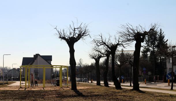 Wieloosobowa huśtawka - widok z oddali