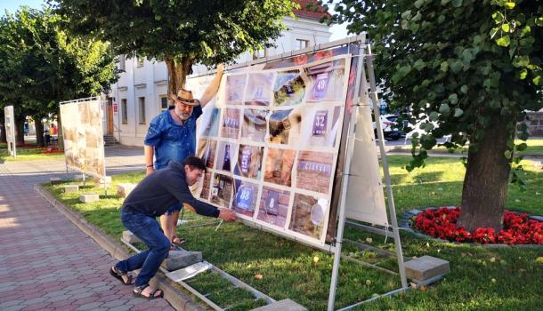 Wystawa stowarzyszenia Mława Miasto Zabytkowe 