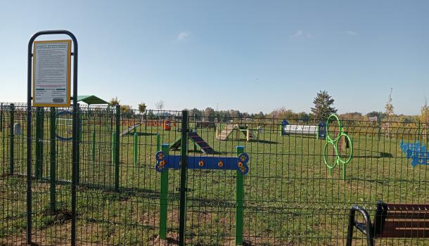 wybieg dla psów