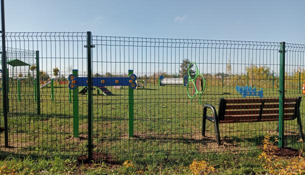 wybieg dla psów