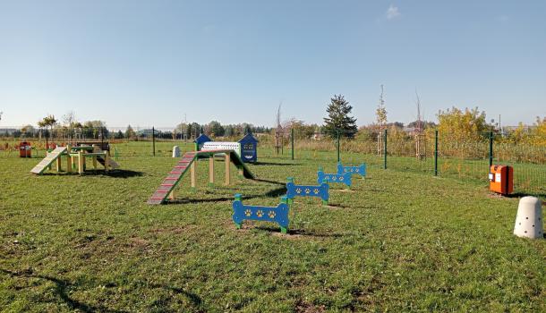wybieg dla psów