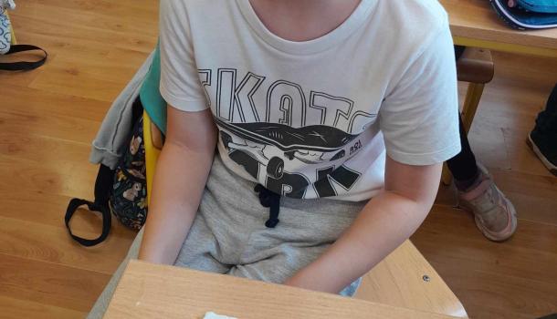 Żabka z kamyczków, kreatywna lekcja w klasie 1b w SP 3